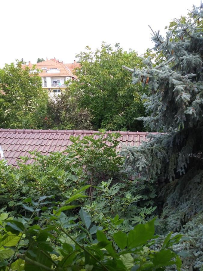 Hotel Balogh vendegház Szeged Esterno foto